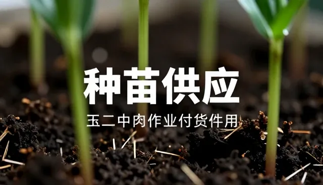 项目现场使用鹅蛋有哪些优势